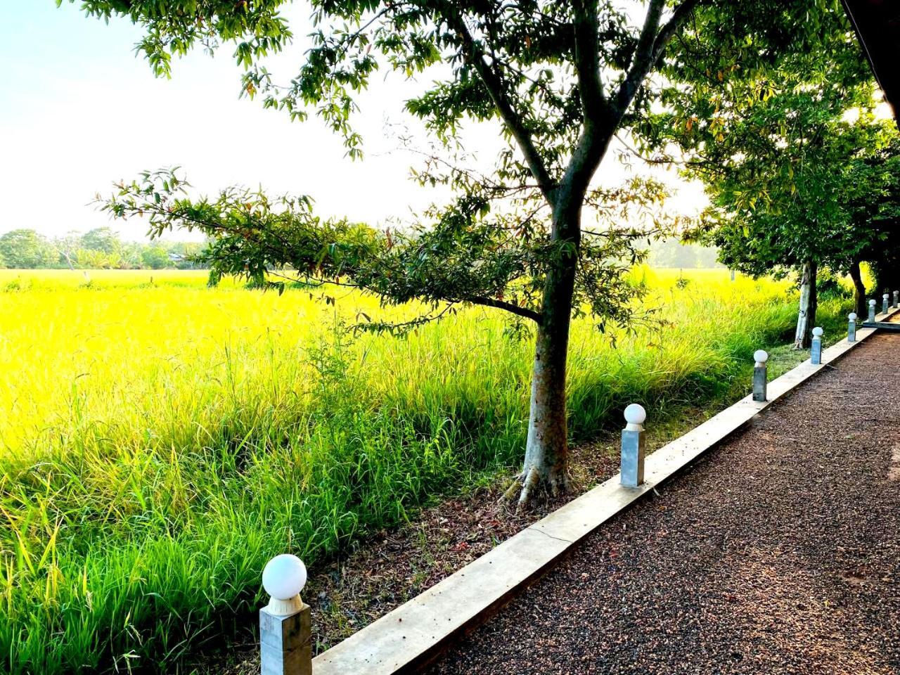 Athyantha Resort 아누라다푸라 외부 사진